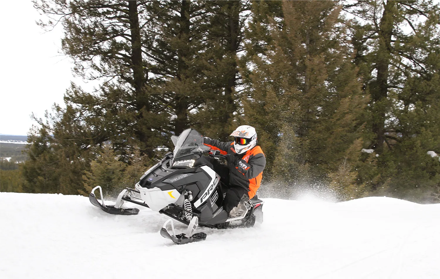 snowmobiler traveling at high speed down a snow covered trail surrounded by pine trees